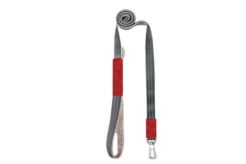 Bowl and Bone Yeti Red Dog Harness