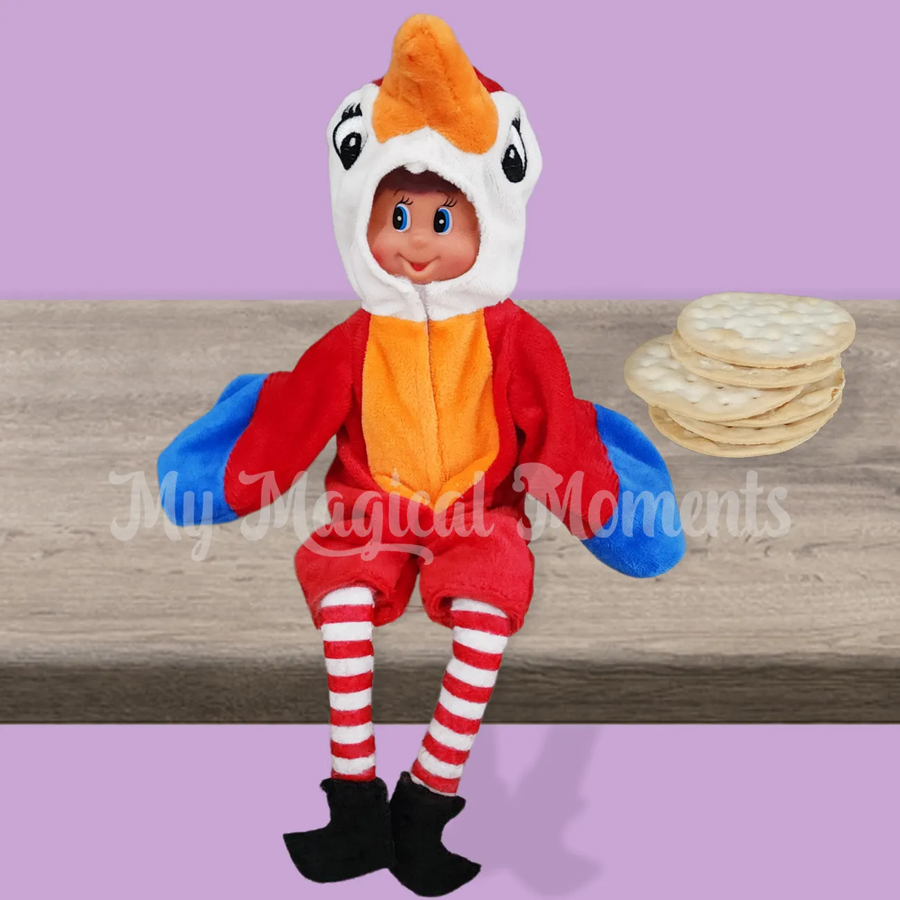 Costume - Parrot