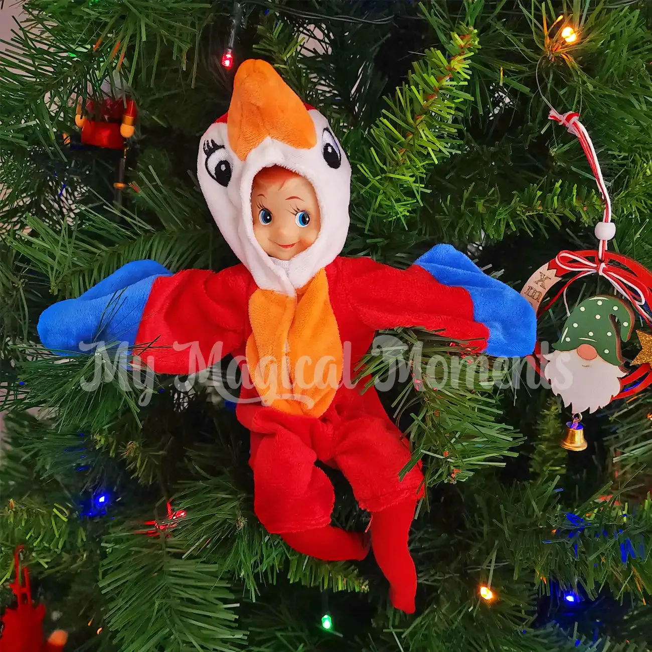 Costume - Parrot