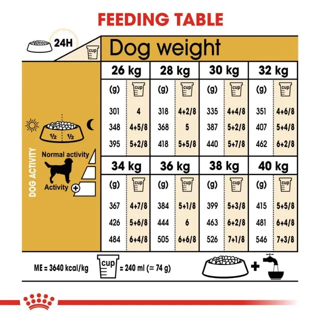 Royal Canin Labrador Retriever Adult